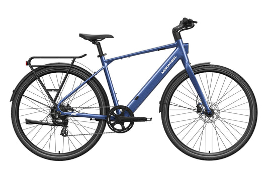 eBike Mokwheel Flint - Steel Blue