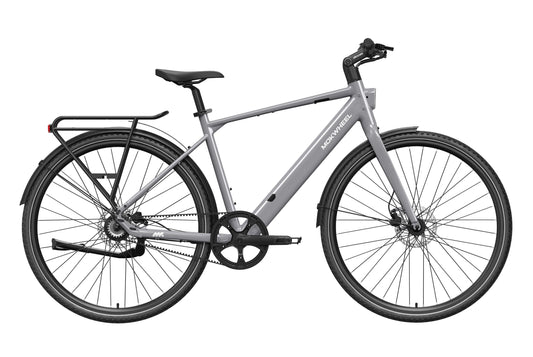 eBike Mokwheel Flint Pro - Grey