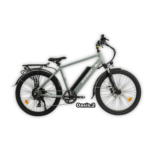 Gray eBike Revi Oasis.2 in its original packaging box