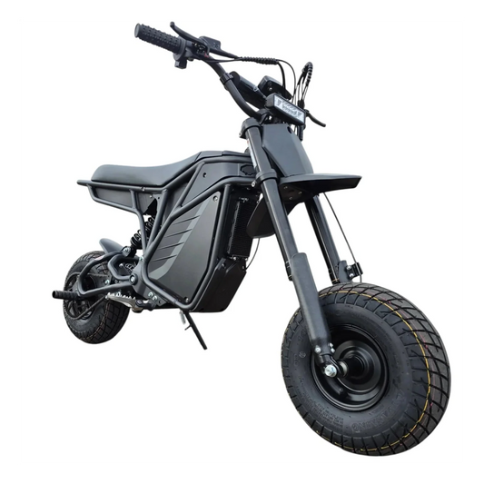 A black eBike Electro & Co The Rizzler Sport electric bicycle displayed in a showroom, available for in-store pickup only.