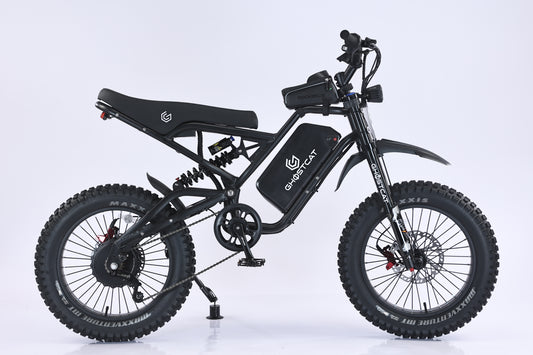 Black and stainless steel eBike Ghostcat F4X side view, showcasing sleek frame and modern design
