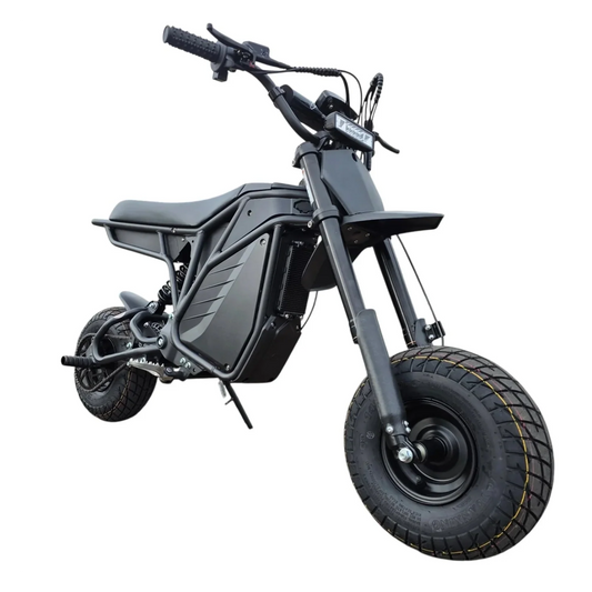 A black eBike Electro & Co The Rizzler electric bicycle displayed in a showroom, available for in-store pickup only.