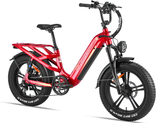eBike Freesky Rocky Pro A-320 Red 2