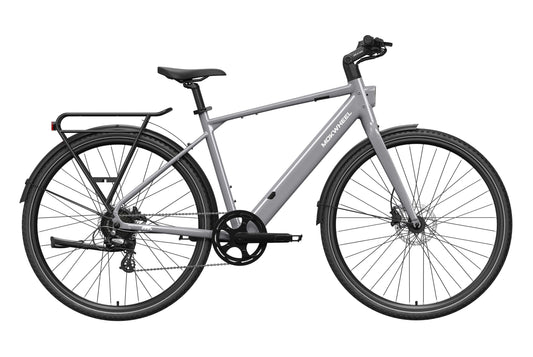 eBike Mokwheel Flint - Grey