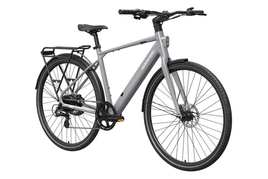 eBike Mokwheel Flint - Grey