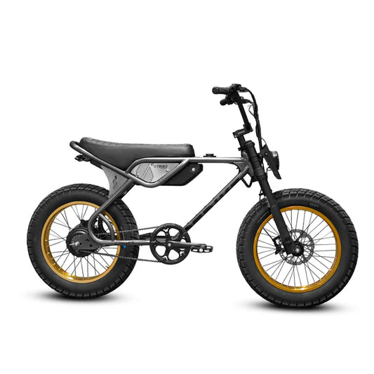 Graphite and gold eBike Strike Spyder electric bicycle, side view, on white background