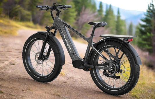 MOKWHEEL Basalt 750W Step Over eBike with 26x4 fat tires, electric beach cruiser design, shown in product image.