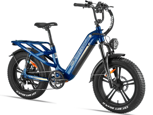 A black Freesky Rocky Pro A-320 electric mountain bike with fat tires, front suspension, and a rear rack, displayed on a white background.
