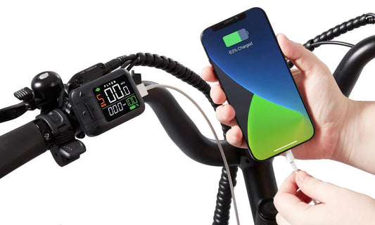 Radio Flyer Via Pro 750w Step Thru eBike, 24x2.4 street tires, electric cargo bike, product image